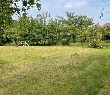 Vouneuil-sur-Vienne House | Gîte de charme La Pocterie