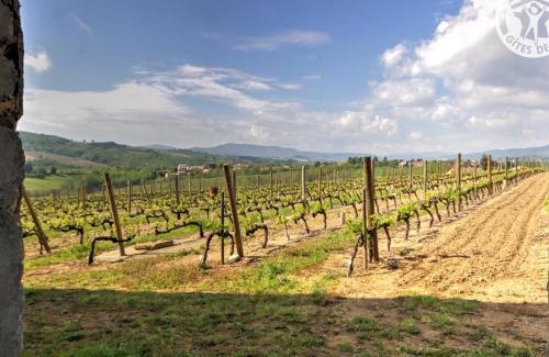 Malleval Apartment | Gîte de charme avec piscine et wifi au cœur des vignes - FR-1-496-116