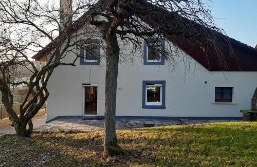 Grosne House | Gîte de la Grande Rainette