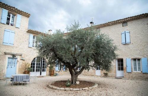 Valensole Apartment | Gîte L'Olivier - La Roseraie du Val'Ensoleillé