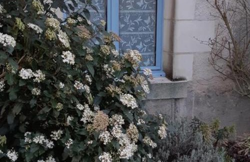 Luzille House | Gîte proche châteaux de la Loire, animaux acceptés - FR-1-381-303