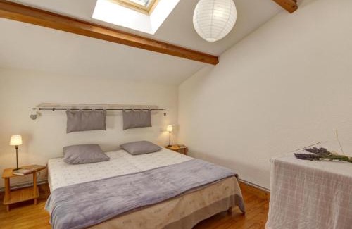 Les Salles House | Gîte spacieux et charmant pour 10 avec jardin et animaux admis - FR-1-496-60