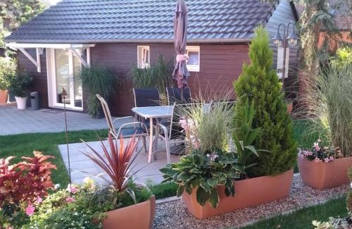 Sundhouse Apartment | Gîtes Le P'tit Paradis du Ried