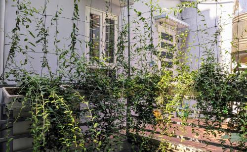 Ba Dinh Apartment | Góc nhỏ Hà Nội Homestay