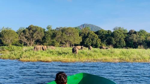 Polwatta House | Gal Oya Lake View Inginiyagala