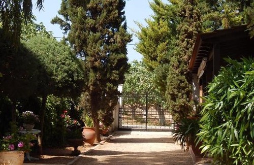 Markopoulo Mesogaias House | Gallery Basement in Villa Vravrona