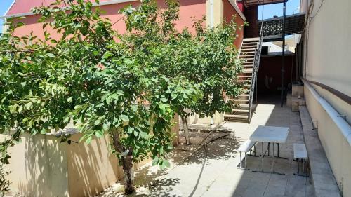 Nakhchivan Apartment | Garden House in Center