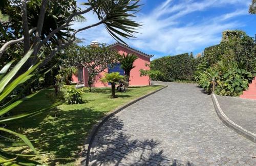 Ribeira Grande Apartment | Garden Loft