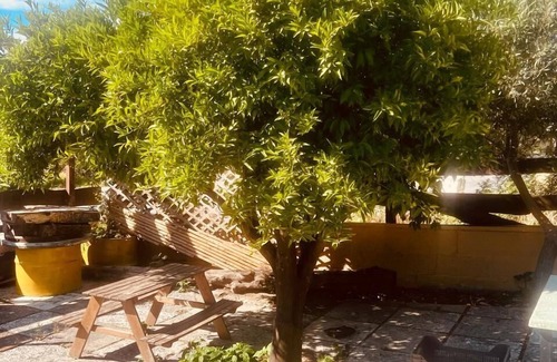 Kalavarda Condo | Garden Views at Rhodes Nest - Maistrali Hotel