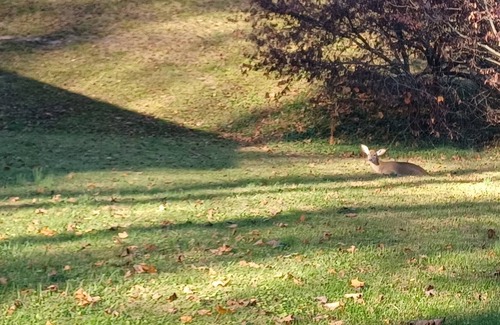 Ansted House | Gateway House to NRG & Hawk's Nest - fast Wi-Fi, fire pit, RV hookup