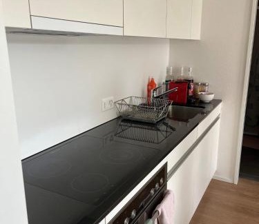 Fribourg Apartment | Gemütliche Wohnung Centre Ville