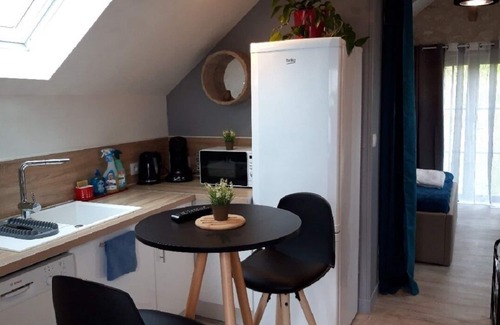 Sainte-Maure-de-Touraine House | GITE 3* SWIMMING POOL SPA BEAUVAL CHATEAUX FUTUROSCOPE air-conditioned