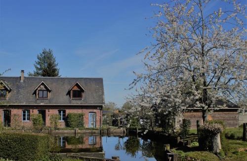 Saint-Martin-aux-Arbres House | Gite Caillebourg Normandie
