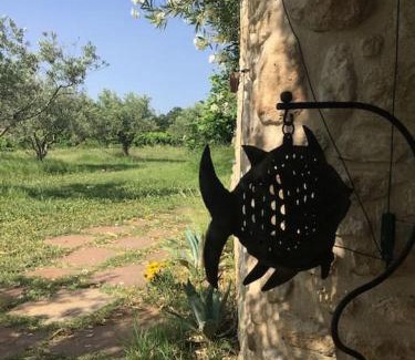 Caromb House | Gite des amis Domaine de Mas Caron