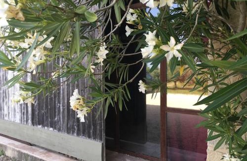 Caromb House | Gite des amis Domaine de Mas Caron