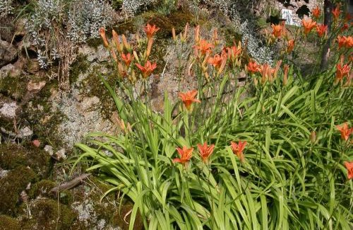 Saint-Martial House | Gite Deux-Eaux