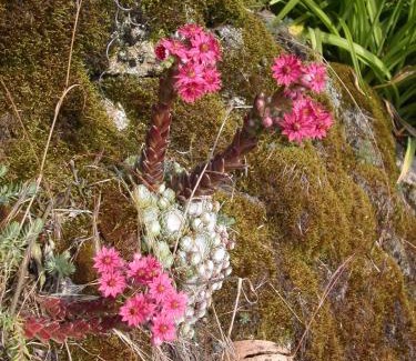 Saint-Martial House | Gite Deux-Eaux