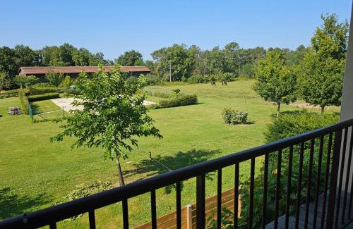 Pardaillan Apartment | Gite du Chêne Pardaillan