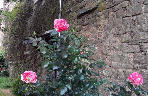 Neant-sur-Yvel House | Gite La Lisière, in Brocéliande