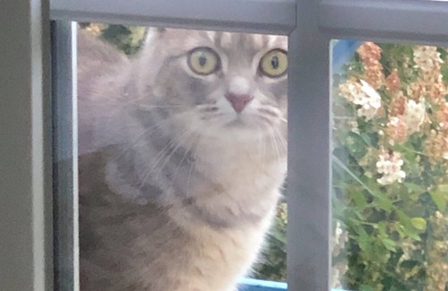 Saint-Germain-de-Belves Apartment | GITE LE STUDIO