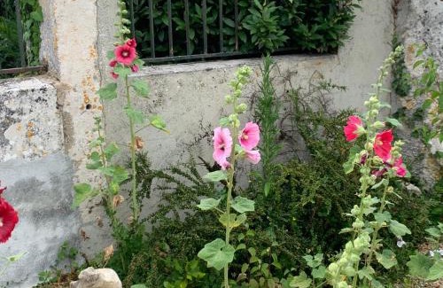 Villeneuve-la-Comtesse Apartment | Gite VILLENEUVE LA COMTESSE