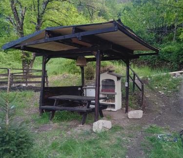 Bene Lario Other | Glamping C Selva Tenda Castagno
