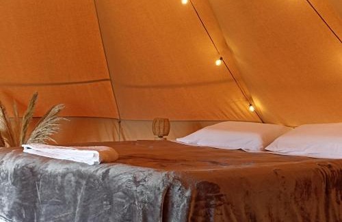 Yotoco Cabin | Glamping & Cabaña con Paddle, ducha al aire libre, Pet-friendly - Oasis junto al Lago