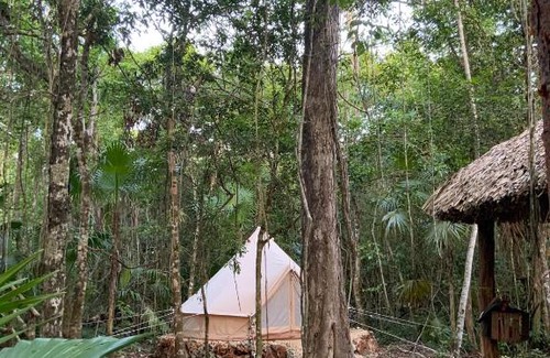 Benito Juarez Other | Glamping Ikal