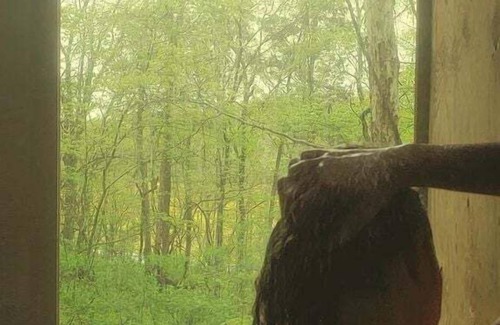 West Baden Springs House | Glamping Retreats with Dinner Included at this Amazing West Baden Springs Tree House Rental