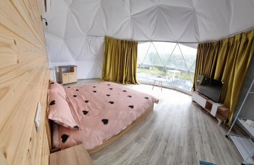 Mihaesti Other | GlampingDenis Igloo