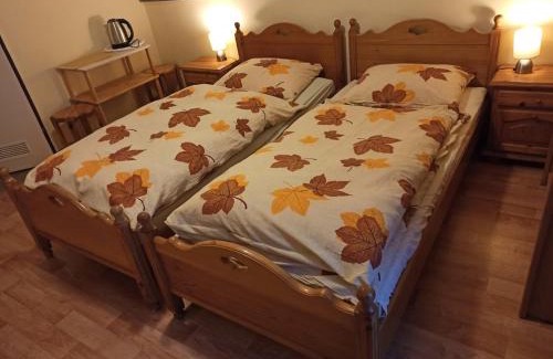 Zieleniec House | Gościniec, kwatery prywatne przy stoku w Zieleńcu