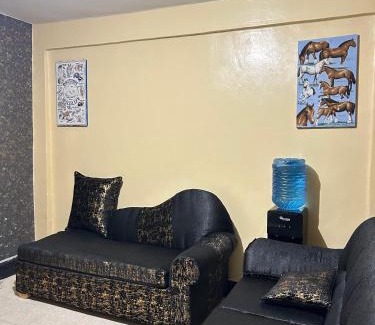 Viwanda Apartment | Golden Haven