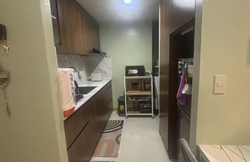 Pasay Apartment | Golden Palm at One Palm Tree Villas
