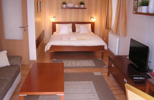 Hradec Kralove Apartment | Gonda Apartments