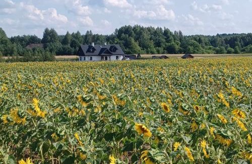 Dubicze Cerkiewne House | Gospodarstwo Agroturystyczne ŻARNOWIEC