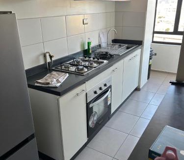 Concepcion Apartment | Gran Departamento Concepción