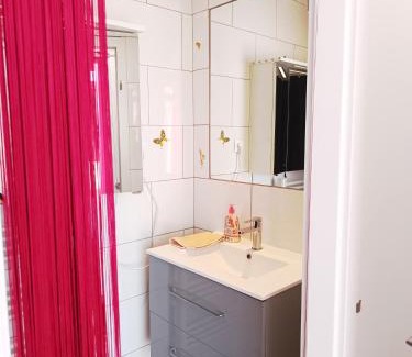 Hesingue Apartment | Grand Appartement 3 frontières