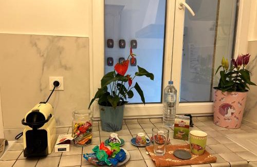 Quartier Centre Ville Apartment | Grand logement Centre Ville Massy