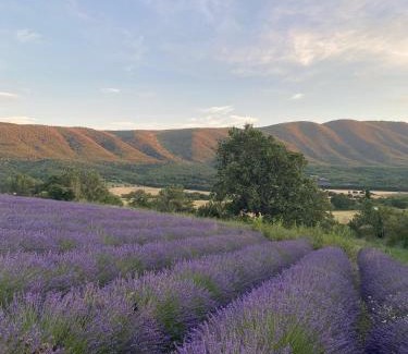 Manosque Apartment | Grand studio Manosque face lycée international et hôpital, Cadarache-Iter