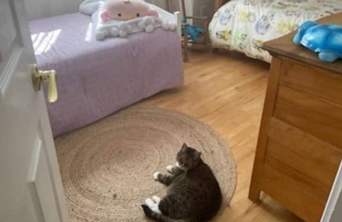 Chicoutimi House | Grande Maison Pour L'hiver