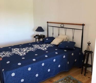 Espariz House | Grandfather's House