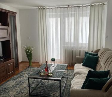 Kolo Apartment | Green Apartment