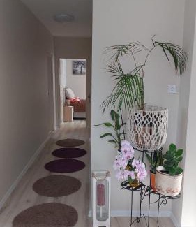 Hamor House | Green Dream Apartment 5 persons free sauna