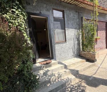 Erebuni House | Green Home