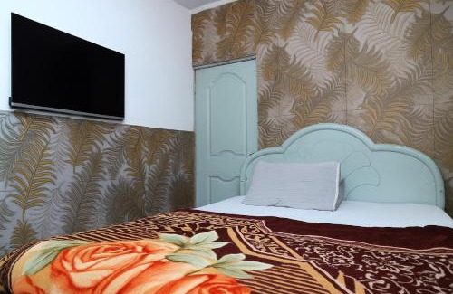 Punjab Hotel | Green Hotel