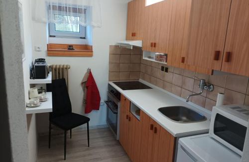 Trebic House | Green House 45