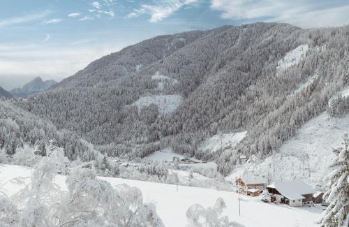 Luson Apartment | Großkarnaiderhof Ferienwohnungen-Bauernhof-Natur pur