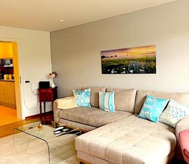 Binzen Apartment | Guest House 3 Binzen