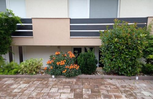 Kutina House | Guest House Kosec