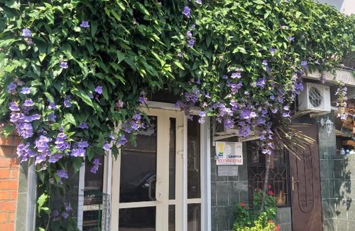 Adler City Centre House | Guest House SanLara